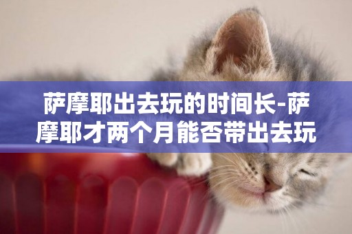 薩摩耶出去玩的時間長-薩摩耶才兩個月能否帶出去玩啊