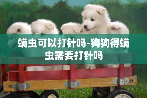 螨蟲可以打針嗎-狗狗得螨蟲需要打針嗎