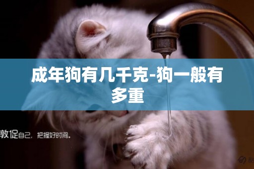 成年狗有幾千克-狗一般有多重
