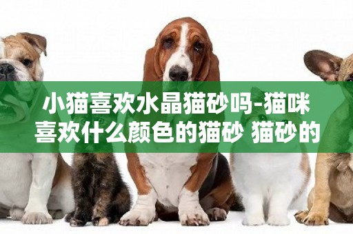 小貓喜歡水晶貓砂嗎-貓咪喜歡什么顏色的貓砂 貓砂的顏色有幾種