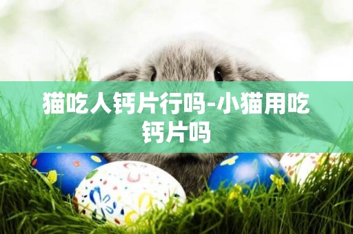 貓吃人鈣片行嗎-小貓用吃鈣片嗎