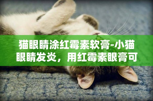 貓眼睛涂紅霉素軟膏-小貓眼睛發炎，用紅霉素眼膏可以嗎？