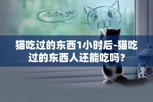 貓吃過的東西1小時后-貓吃過的東西人還能吃嗎？