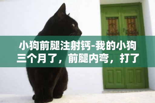 小狗前腿注射鈣-我的小狗三個月了，前腿內彎，打了三針丐針還吃了丐片，還沒有好是補鈣補過了嗎？