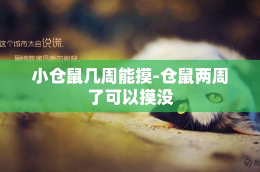 小倉鼠幾周能摸-倉鼠兩周了可以摸沒
