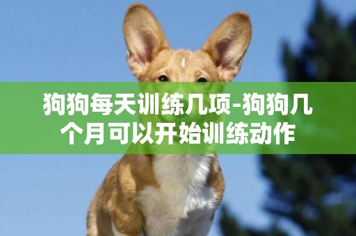 狗狗每天訓練幾項-狗狗幾個月可以開始訓練動作