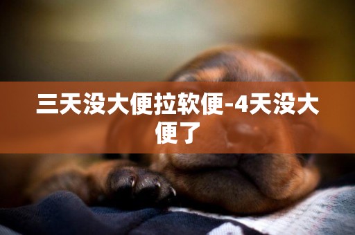 三天沒大便拉軟便-4天沒大便了