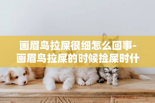 畫眉鳥拉屎很細怎么回事-畫眉鳥拉屎的時候撿屎時什么原因？