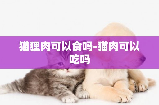 貓貍肉可以食嗎-貓肉可以吃嗎