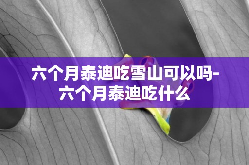 六個月泰迪吃雪山可以嗎-六個月泰迪吃什么