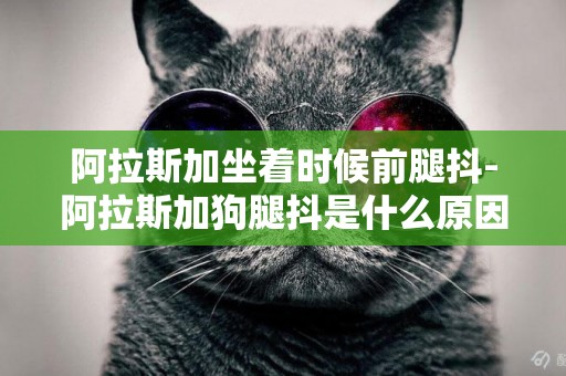 阿拉斯加坐著時候前腿抖-阿拉斯加狗腿抖是什么原因？