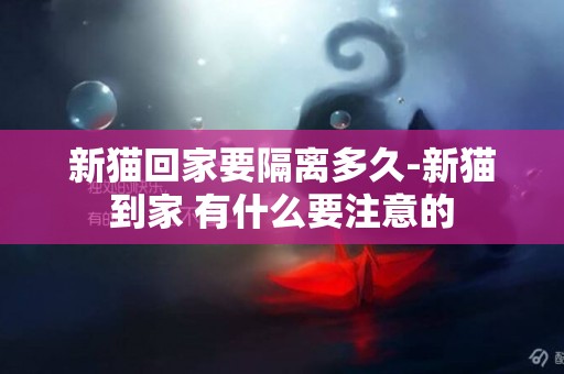 新貓回家要隔離多久-新貓到家 有什么要注意的