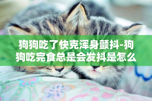 狗狗吃了快克渾身顫抖-狗狗吃完食總是會發抖是怎么回事？