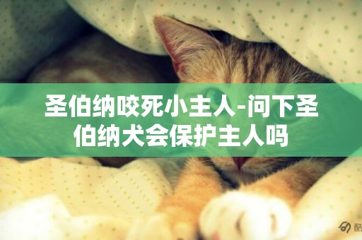 圣伯納咬死小主人-問下圣伯納犬會保護主人嗎
