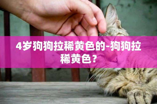 4歲狗狗拉稀黃色的-狗狗拉稀黃色？