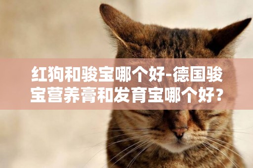 紅狗和駿寶哪個好-德國駿寶營養膏和發育寶哪個好？