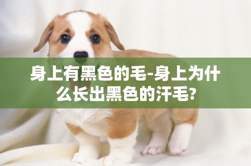 身上有黑色的毛-身上為什么長出黑色的汗毛?