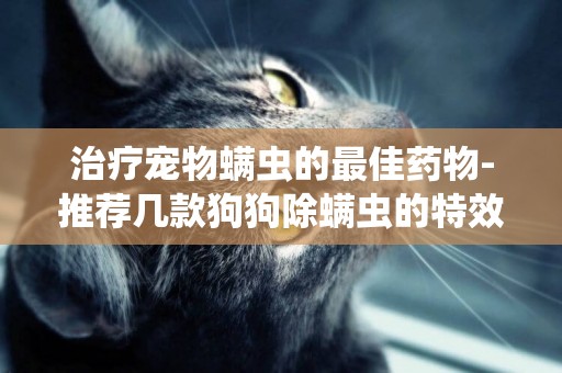 治療寵物螨蟲的最佳藥物-推薦幾款狗狗除螨蟲的特效藥吧