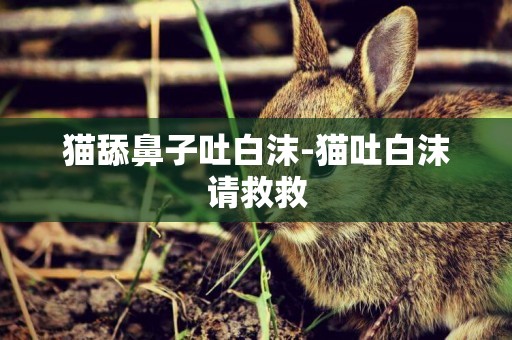 貓舔鼻子吐白沫-貓吐白沫請救救