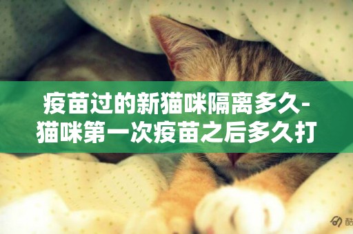 疫苗過的新貓咪隔離多久-貓咪第一次疫苗之后多久打第二次