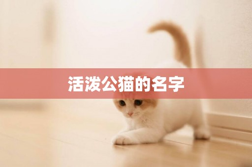 活潑公貓的名字