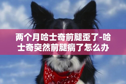 兩個月哈士奇前腿歪了-哈士奇突然前腿瘸了怎么辦