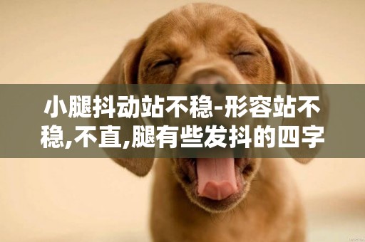 小腿抖動站不穩-形容站不穩,不直,腿有些發抖的四字詞語