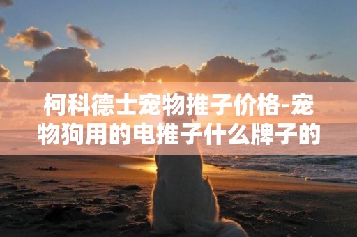 柯科德士寵物推子價格-寵物狗用的電推子什么牌子的實用、便宜？