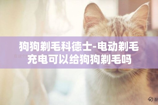 狗狗剃毛科德士-電動剃毛充電可以給狗狗剃毛嗎