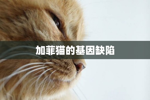 加菲貓的基因缺陷