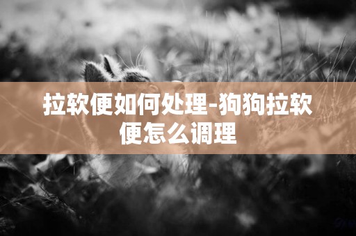 拉軟便如何處理-狗狗拉軟便怎么調理