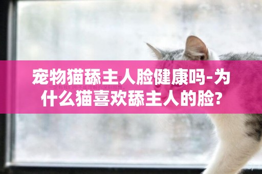 寵物貓舔主人臉健康嗎-為什么貓喜歡舔主人的臉?