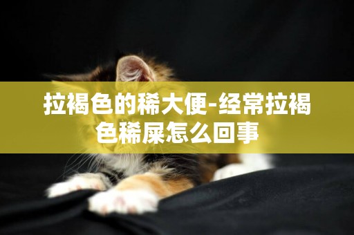 拉褐色的稀大便-經常拉褐色稀屎怎么回事