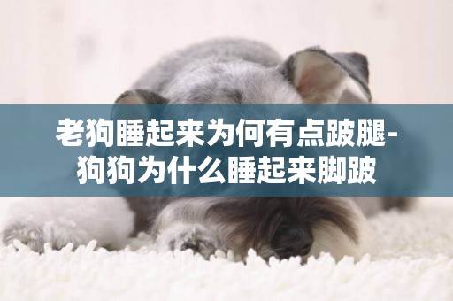 老狗睡起來為何有點跛腿-狗狗為什么睡起來腳跛