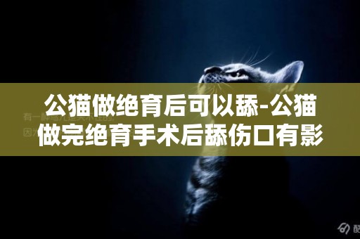 公貓做絕育后可以舔-公貓做完絕育手術后舔傷口有影響嗎
