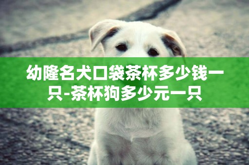 幼隆名犬口袋茶杯多少錢一只-茶杯狗多少元一只