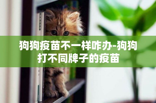 狗狗疫苗不一樣咋辦-狗狗打不同牌子的疫苗