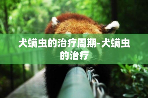 犬螨蟲的治療周期-犬螨蟲的治療