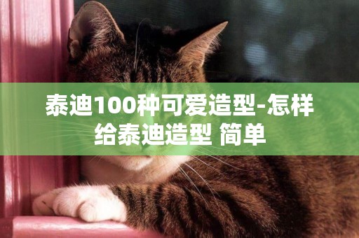 泰迪100種可愛造型-怎樣給泰迪造型 簡單