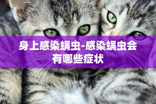 身上感染螨蟲-感染螨蟲會有哪些癥狀