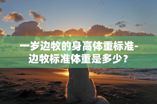 一歲邊牧的身高體重標準-邊牧標準體重是多少？