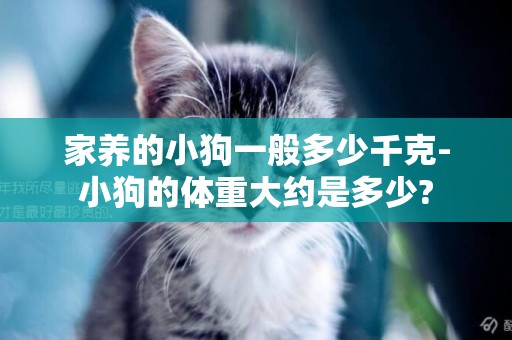 家養的小狗一般多少千克-小狗的體重大約是多少?