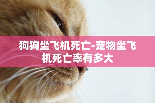 狗狗坐飛機死亡-寵物坐飛機死亡率有多大