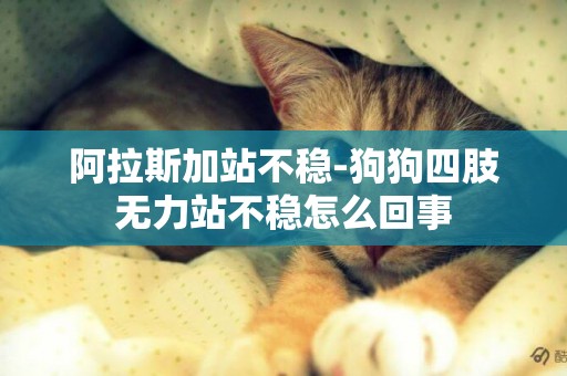 阿拉斯加站不穩-狗狗四肢無力站不穩怎么回事