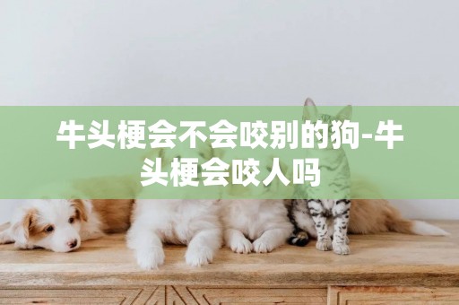 牛頭梗會不會咬別的狗-牛頭梗會咬人嗎