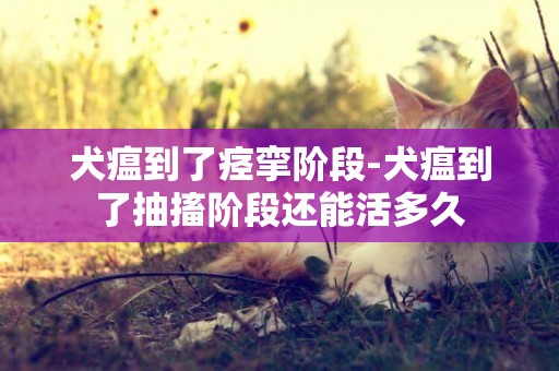 犬瘟到了痙攣階段-犬瘟到了抽搐階段還能活多久