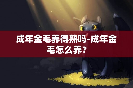 成年金毛養得熟嗎-成年金毛怎么養？