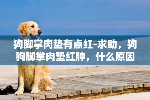 狗腳掌肉墊有點紅-求助，狗狗腳掌肉墊紅腫，什么原因