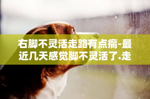 右腳不靈活走路有點瘸-最近幾天感覺腳不靈活了.走路都感覺有點跛.右腳腳板可以隨便轉.而左腳不能 .最
