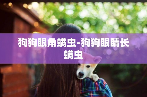 狗狗眼角螨蟲-狗狗眼睛長螨蟲